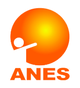 Logo de Anes
